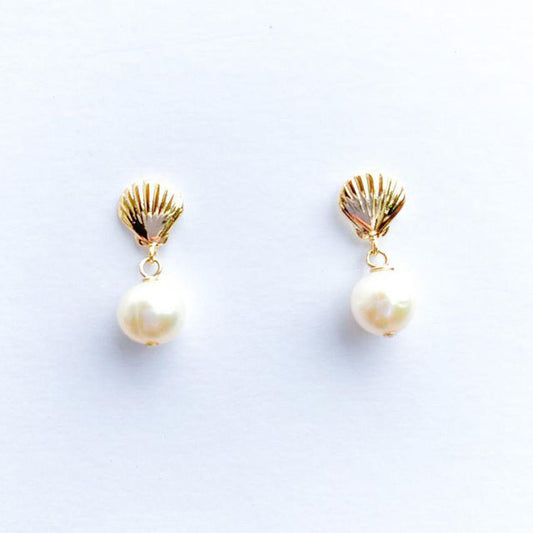 Sea Shell with Pearl Earrings